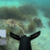Vlogger's underwater crab fishing drone goes viral