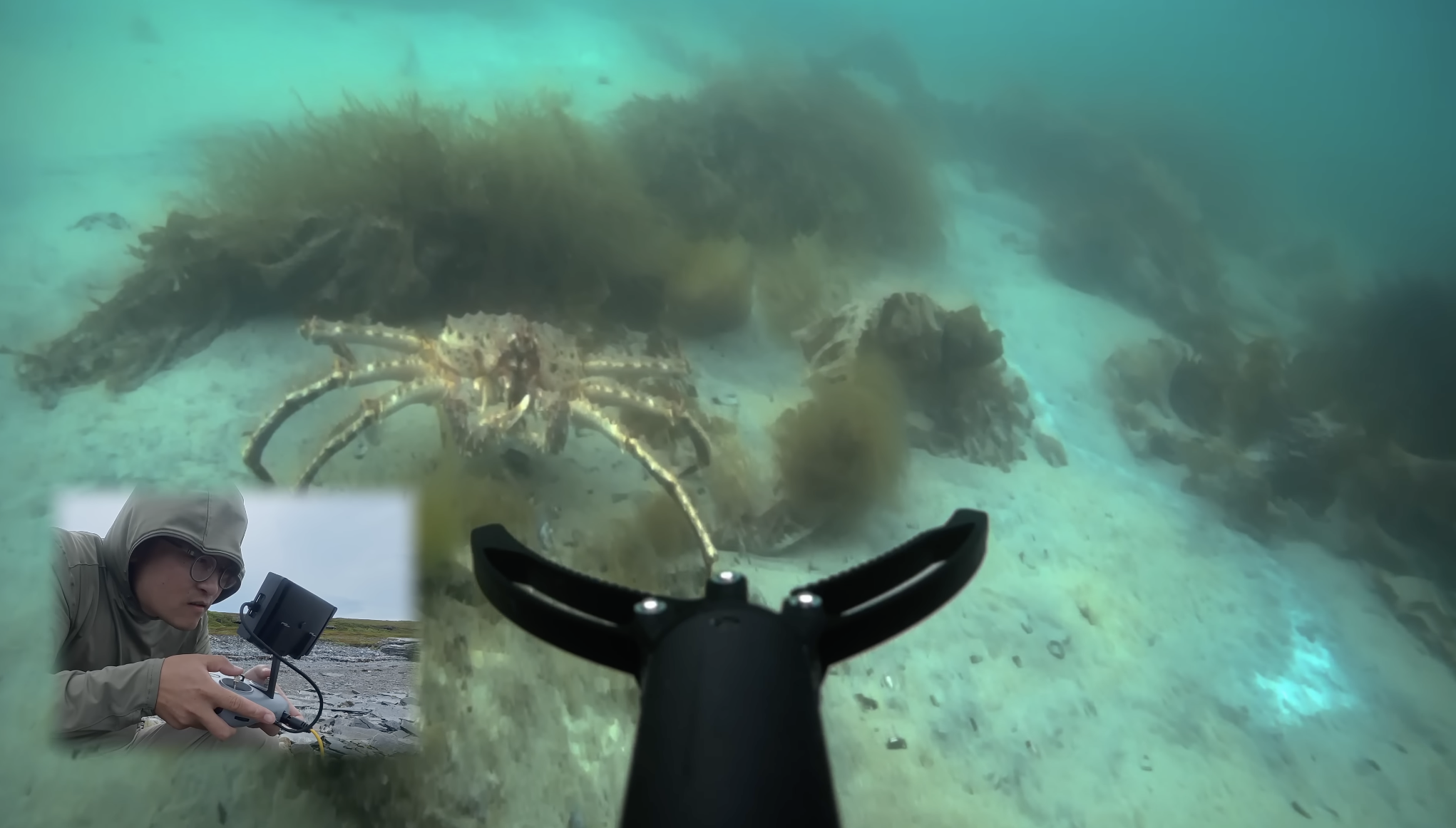 Vlogger's underwater crab fishing drone goes viral