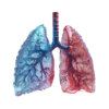 bioAffinity Technologies jumps 63% on Hong Kong lung cancer test patent